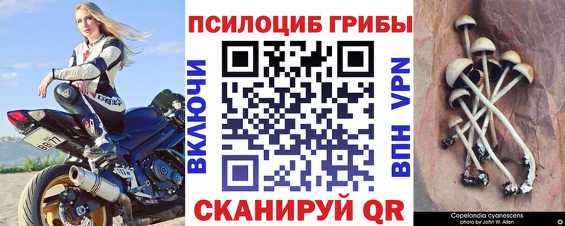 купить наркотик  Трёхгорный  Галлюциногенные грибы мицелий 